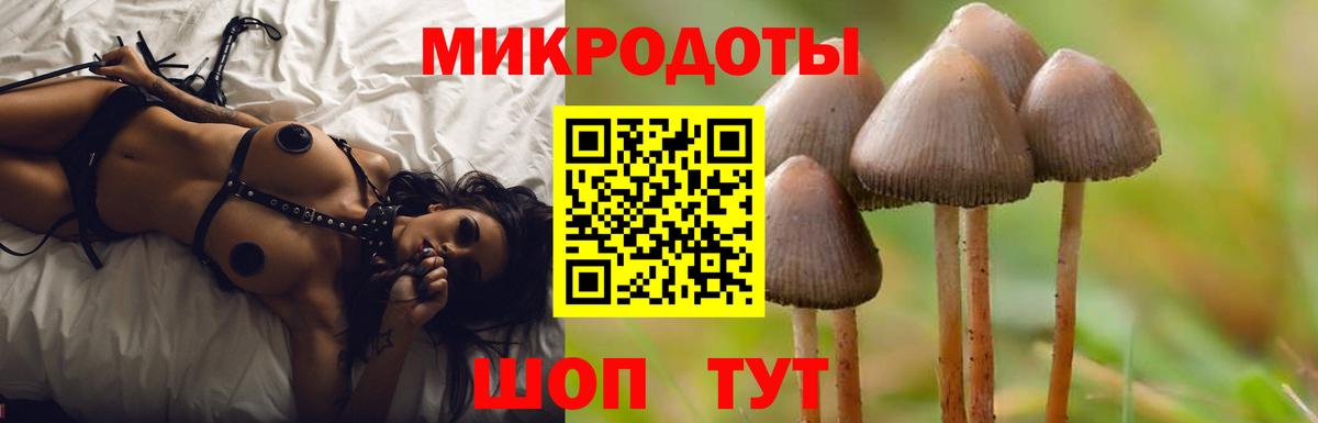 Сосновоборск  Псилоцибиновые грибы MAGIC MUSHROOMS  дарнет шоп  Вход с VPN 