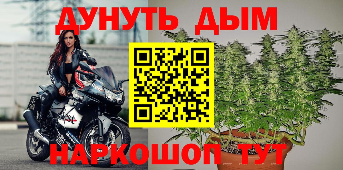 Каннабис OG Kush Сосновоборск